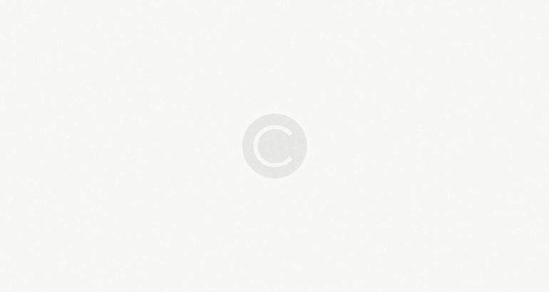 White background with copyright symbol.